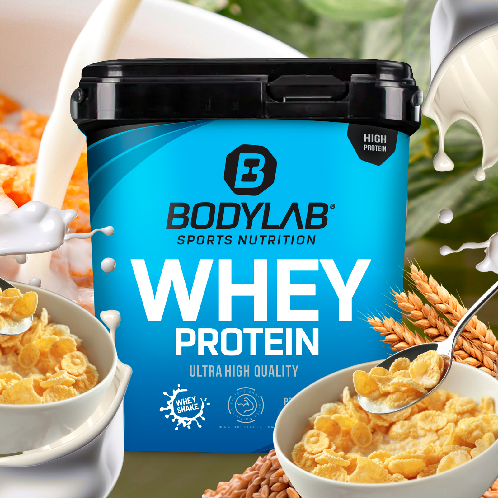 Whey Protein (2000g)