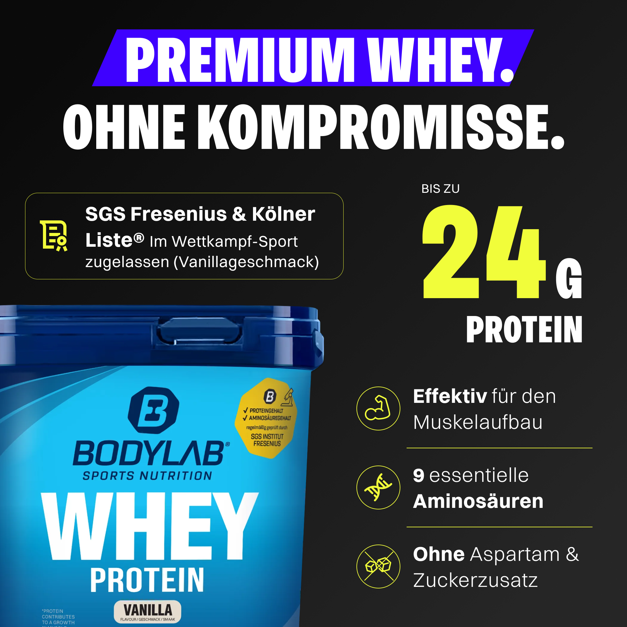 Whey Protein (1000g)
