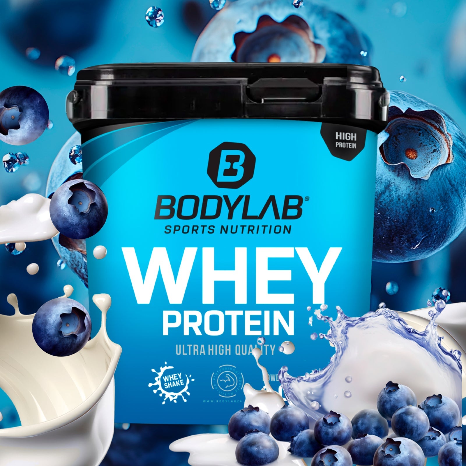 Whey Protein (1000g)
