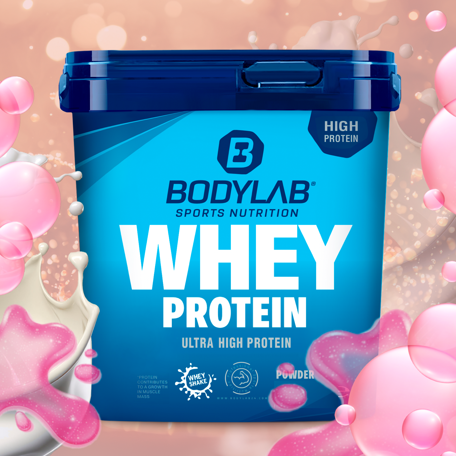 Whey Protein (1000g)