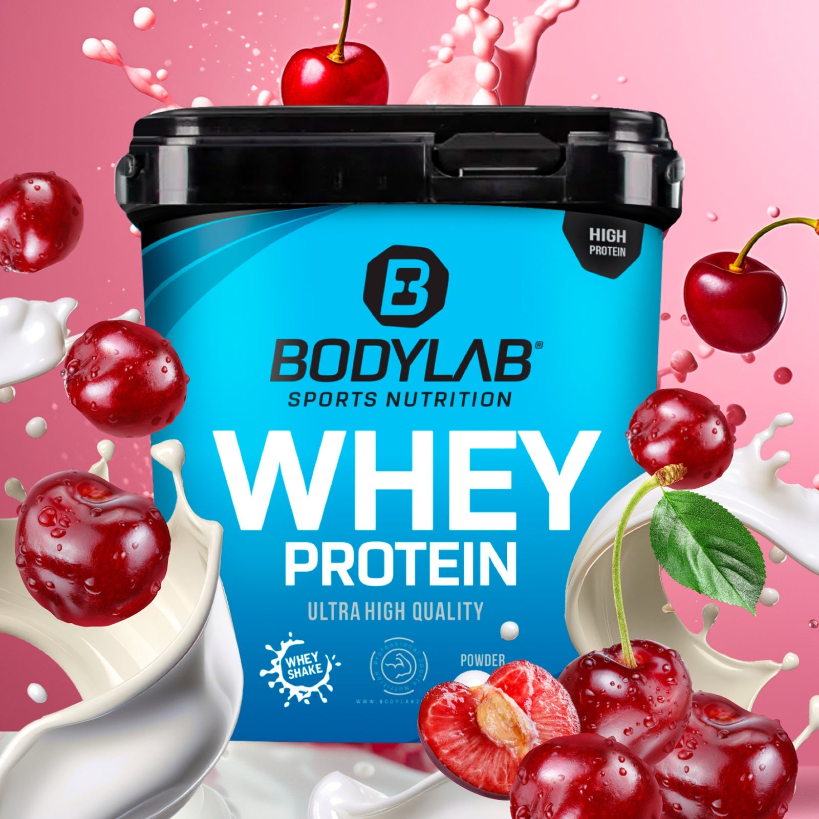 Whey Protein (1000g)