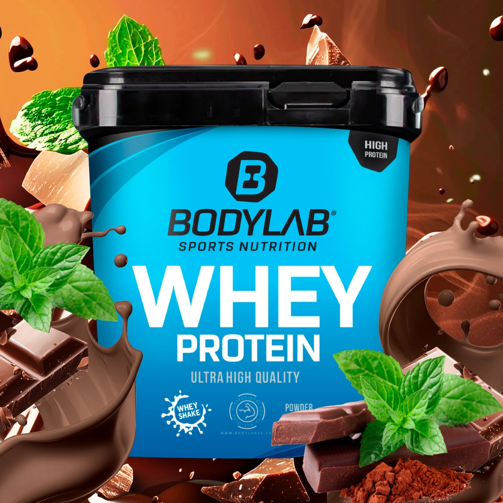 Whey Protein (1000g)