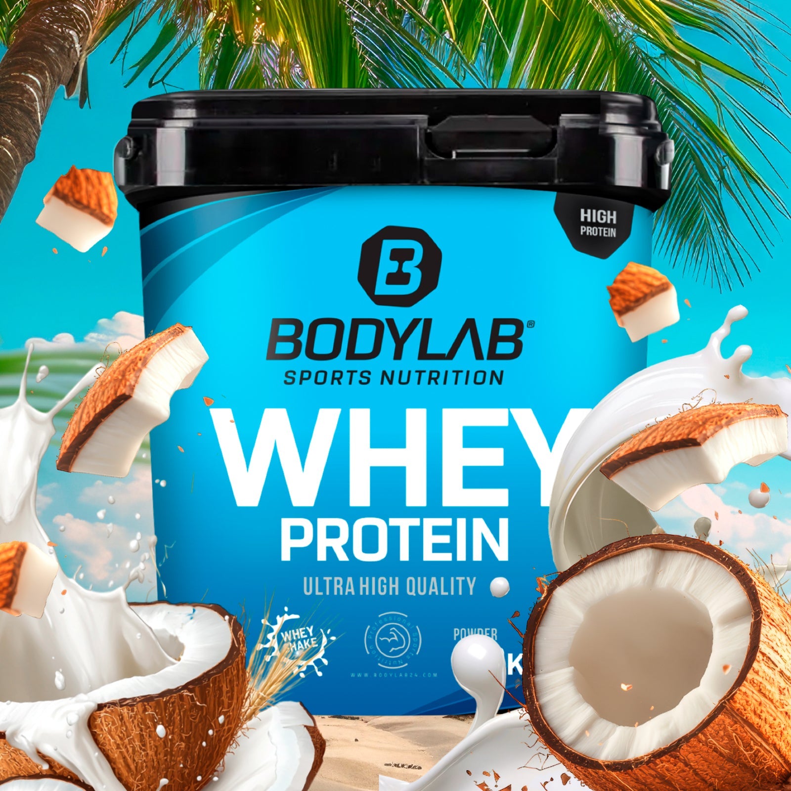 Whey Protein (2000g)