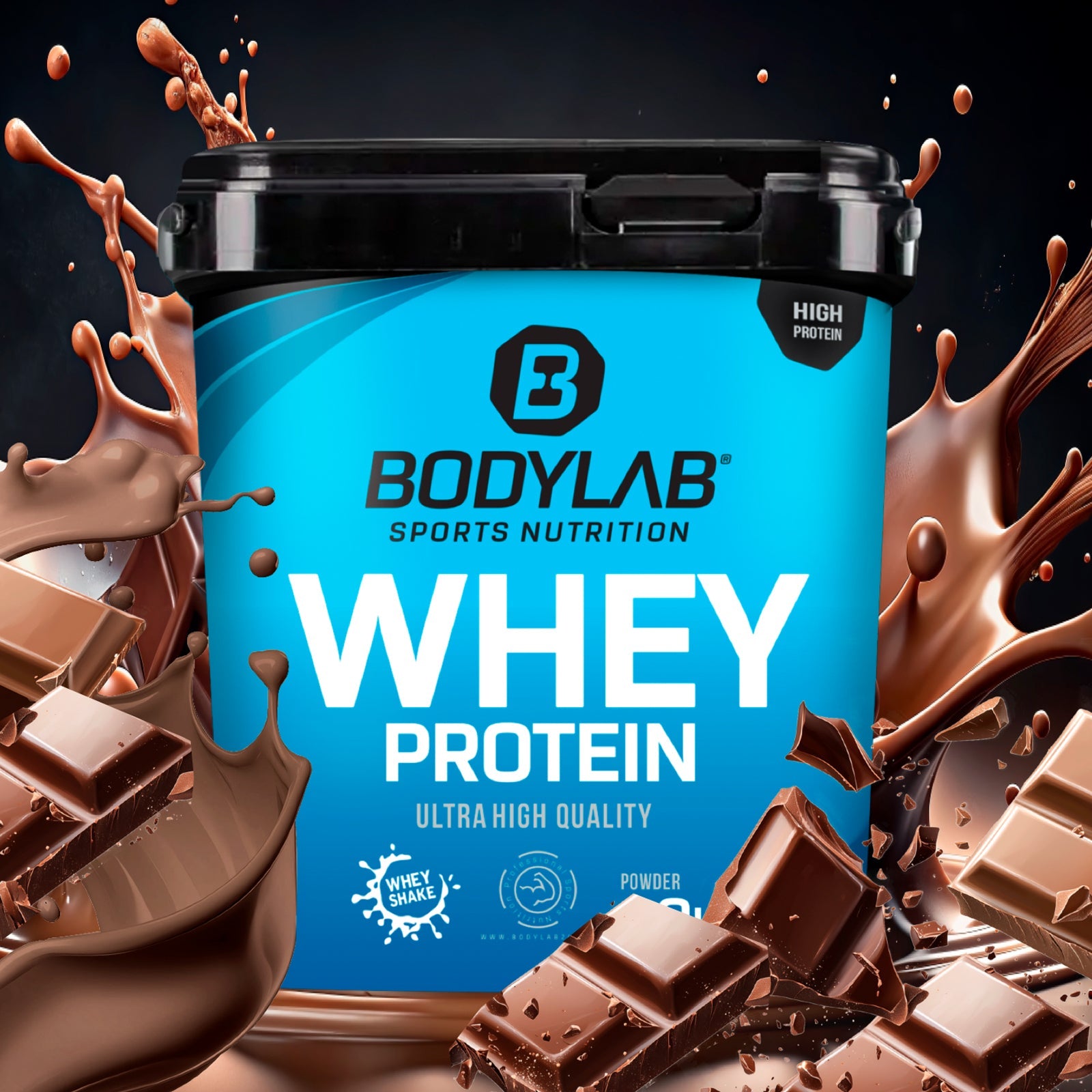 Whey Protein (1000g)