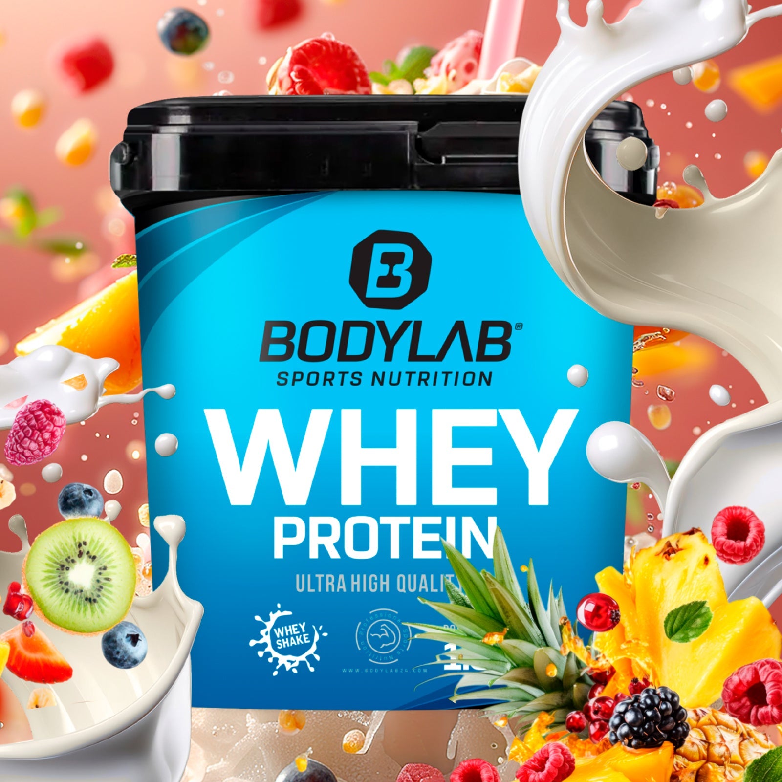 Whey Protein (1000g)