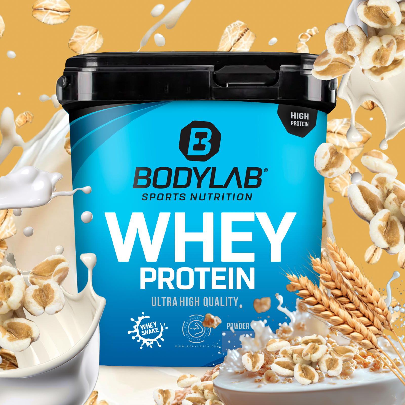 Whey Protein (2000g)