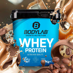 Whey Protein (1000g)