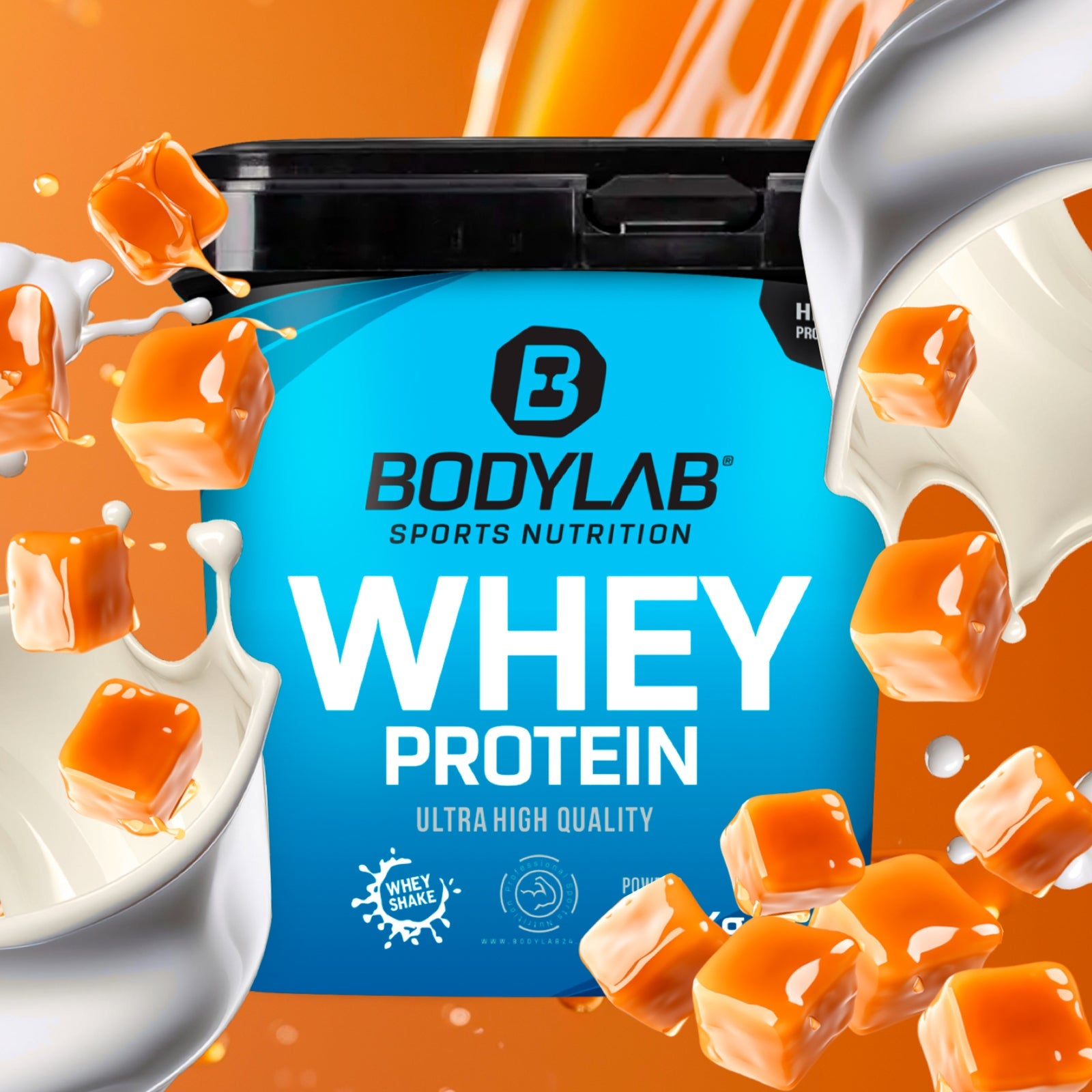 Whey Protein (2000g)