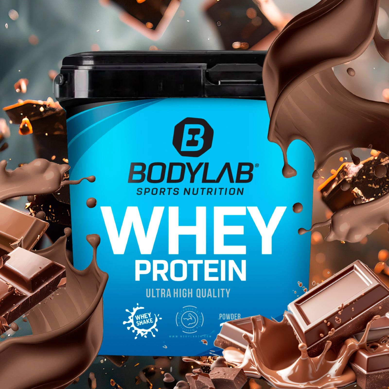 Whey Protein (2000g)