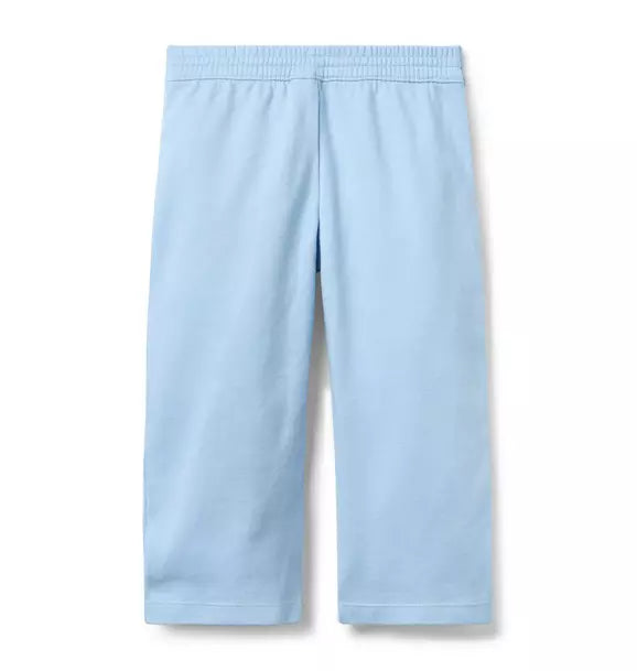 Wide Leg Ponte Pant