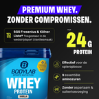 Whey Protein (1000g)