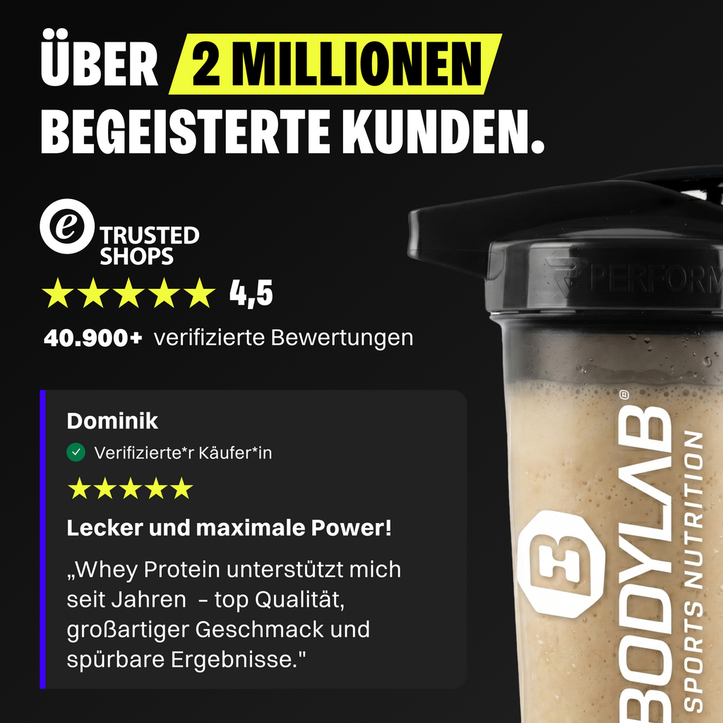 Whey Protein (1000g)